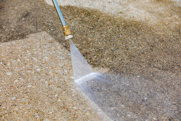 Animal Enclosure Cleaning in Cutler Bay, FL